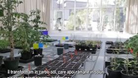 VIDEO Soluție revoluționară. Cum va fi nisipul transformat în sol roditor